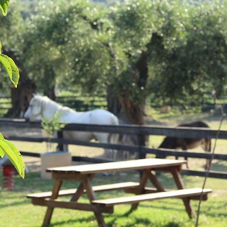 Honigtal Farmland Villa Agios Georgios Pagon Ngoại thất bức ảnh