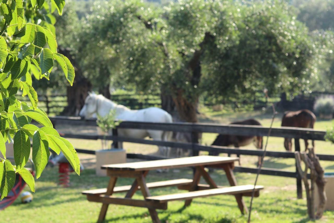 Honigtal Farmland Villa Agios Georgios Pagon Ngoại thất bức ảnh