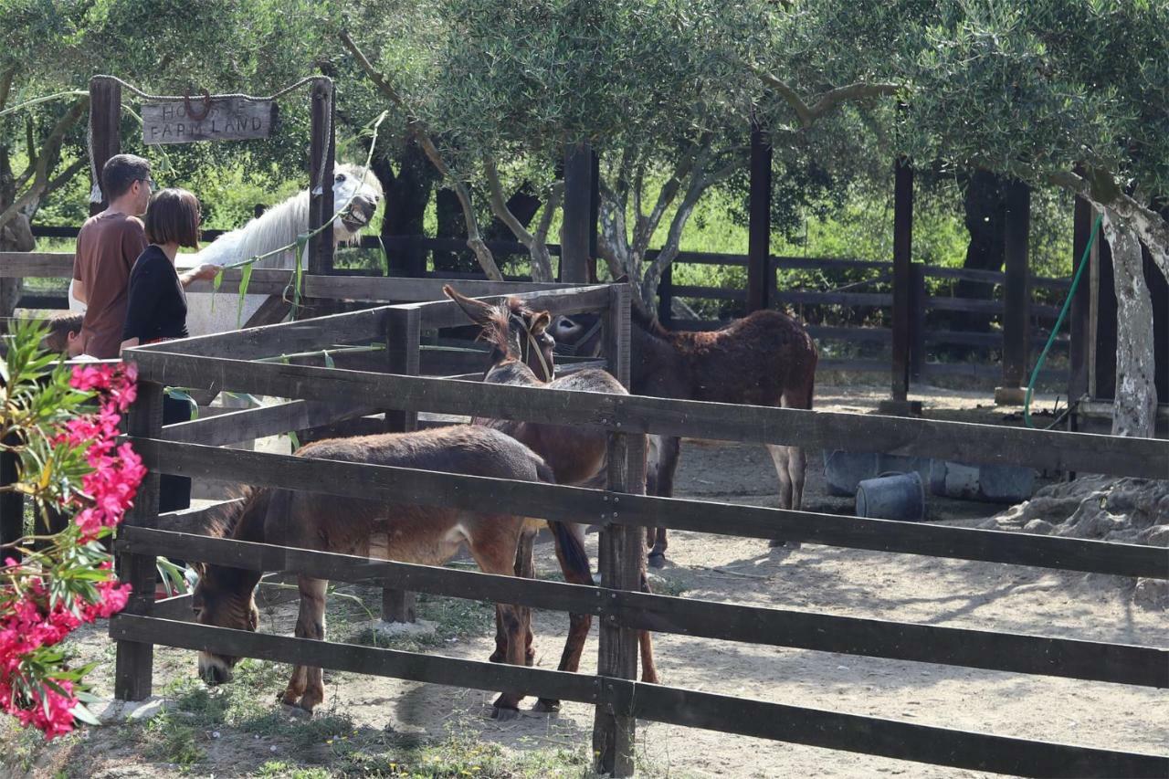 Honigtal Farmland Villa Agios Georgios Pagon Ngoại thất bức ảnh