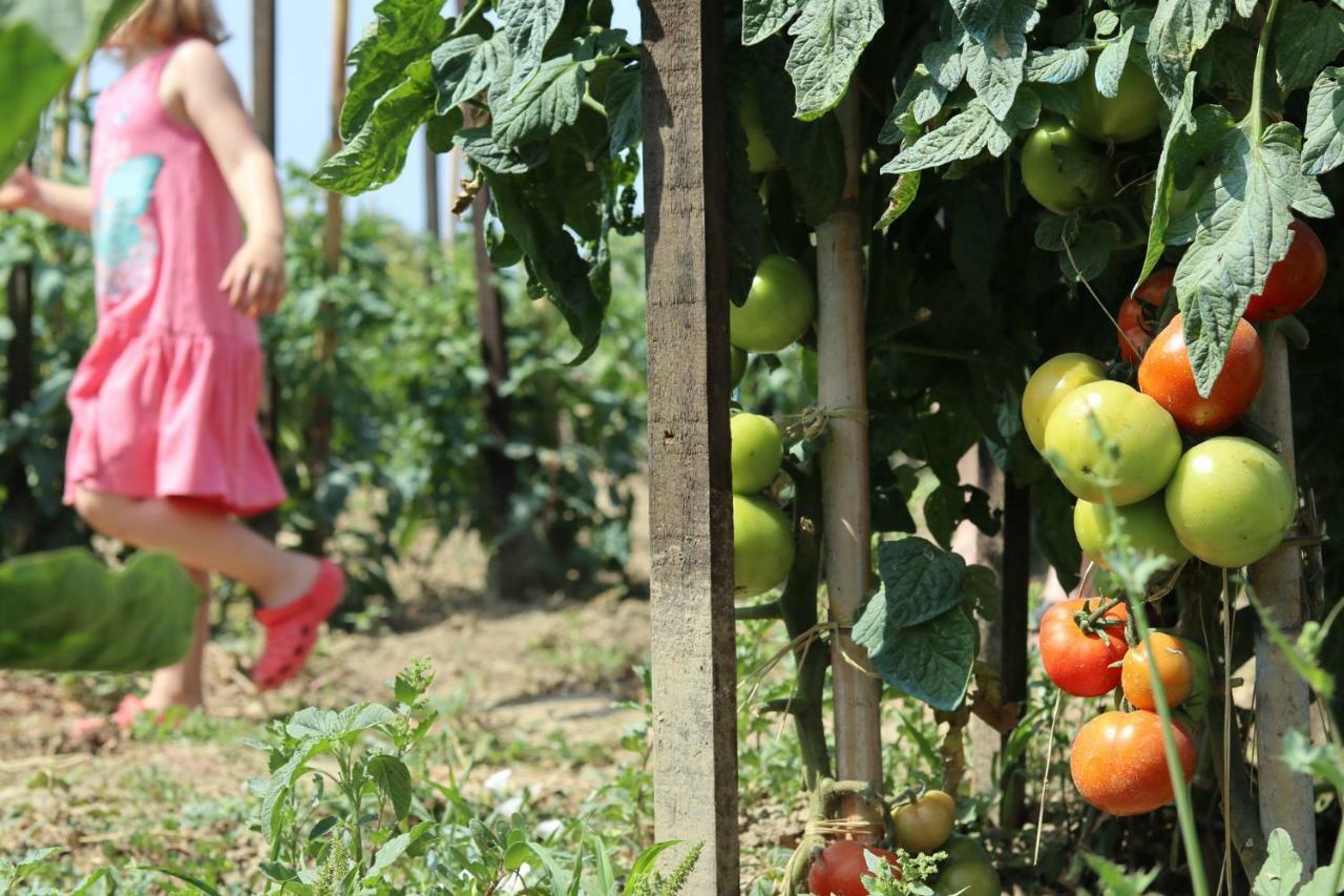 Honigtal Farmland Villa Agios Georgios Pagon Ngoại thất bức ảnh