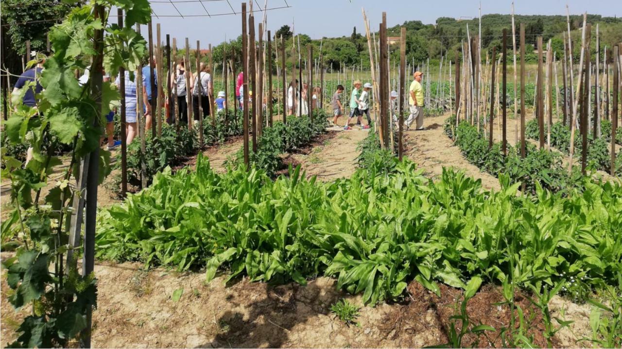Honigtal Farmland Villa Agios Georgios Pagon Ngoại thất bức ảnh